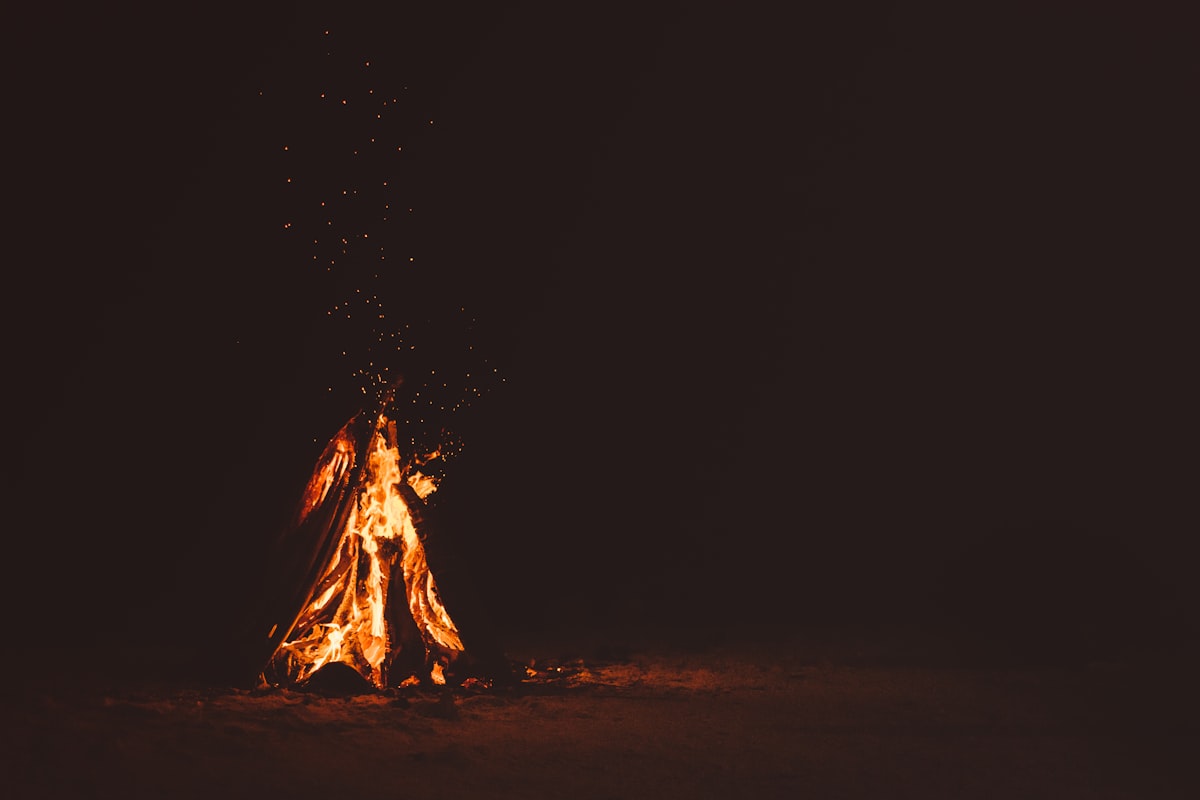 Live oak fire burning against the dark, sparks rising